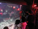 IMG_1746 IMG_1746