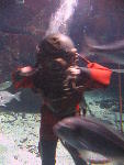 IMG_1748 IMG_1748