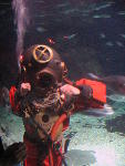IMG_1749 IMG_1749