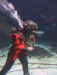 IMG_1750 IMG_1750