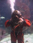IMG_1751 IMG_1751