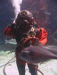 IMG_1752 IMG_1752