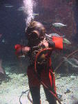 IMG_1753 IMG_1753