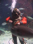 IMG_1754 IMG_1754