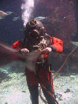 IMG_1755 IMG_1755