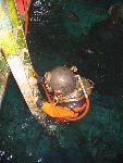 IMG_1758 IMG_1758
