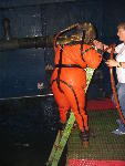 IMG_1790 IMG_1790