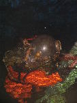 IMG_1794 IMG_1794