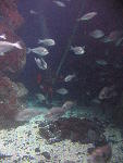 IMG_1795 IMG_1795