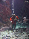 IMG_1796 IMG_1796