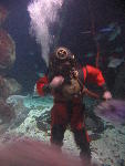 IMG_1798 IMG_1798