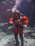 IMG_1799 IMG_1799