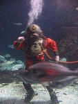 IMG_1802 IMG_1802