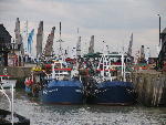 IMG_1273 IMG_1273