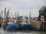 IMG_1272 IMG_1272
