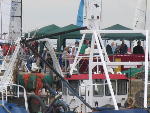 IMG_1275 IMG_1275