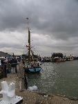IMG_1277 IMG_1277