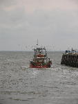 IMG_1278 IMG_1278