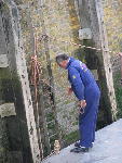 IMG_1294 IMG_1294