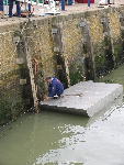 IMG_1295 IMG_1295
