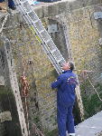 IMG_1296 IMG_1296