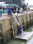 IMG_1297 IMG_1297