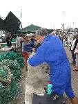 IMG_1309 IMG_1309