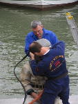 IMG_1335 IMG_1335