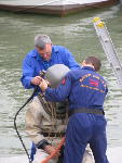 IMG_1337 IMG_1337