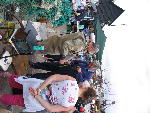 IMG_1366 IMG_1366