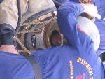 IMG_1382 IMG_1382