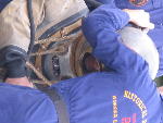 IMG_1383 IMG_1383