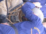 IMG_1384 IMG_1384