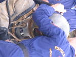 IMG_1385 IMG_1385