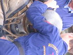 IMG_1386 IMG_1386