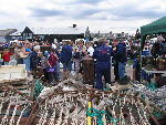 IMG_1395 IMG_1395