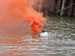 IMG_1415 IMG_1415