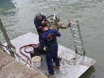 IMG_1410 IMG_1410