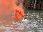 IMG_1416 IMG_1416
