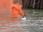 IMG_1417 IMG_1417