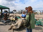 IMG_1426 IMG_1426
