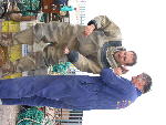 IMG_1429 IMG_1429