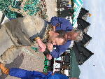 IMG_1441 IMG_1441