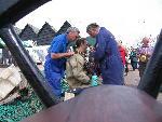 IMG_1445 IMG_1445