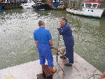 IMG_1467 IMG_1467