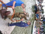 IMG_1470 IMG_1470