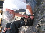 IMG_0575 IMG_0575