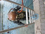 IMG_0590 IMG_0590