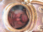IMG_0593 IMG_0593