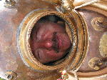 IMG_0594 IMG_0594
